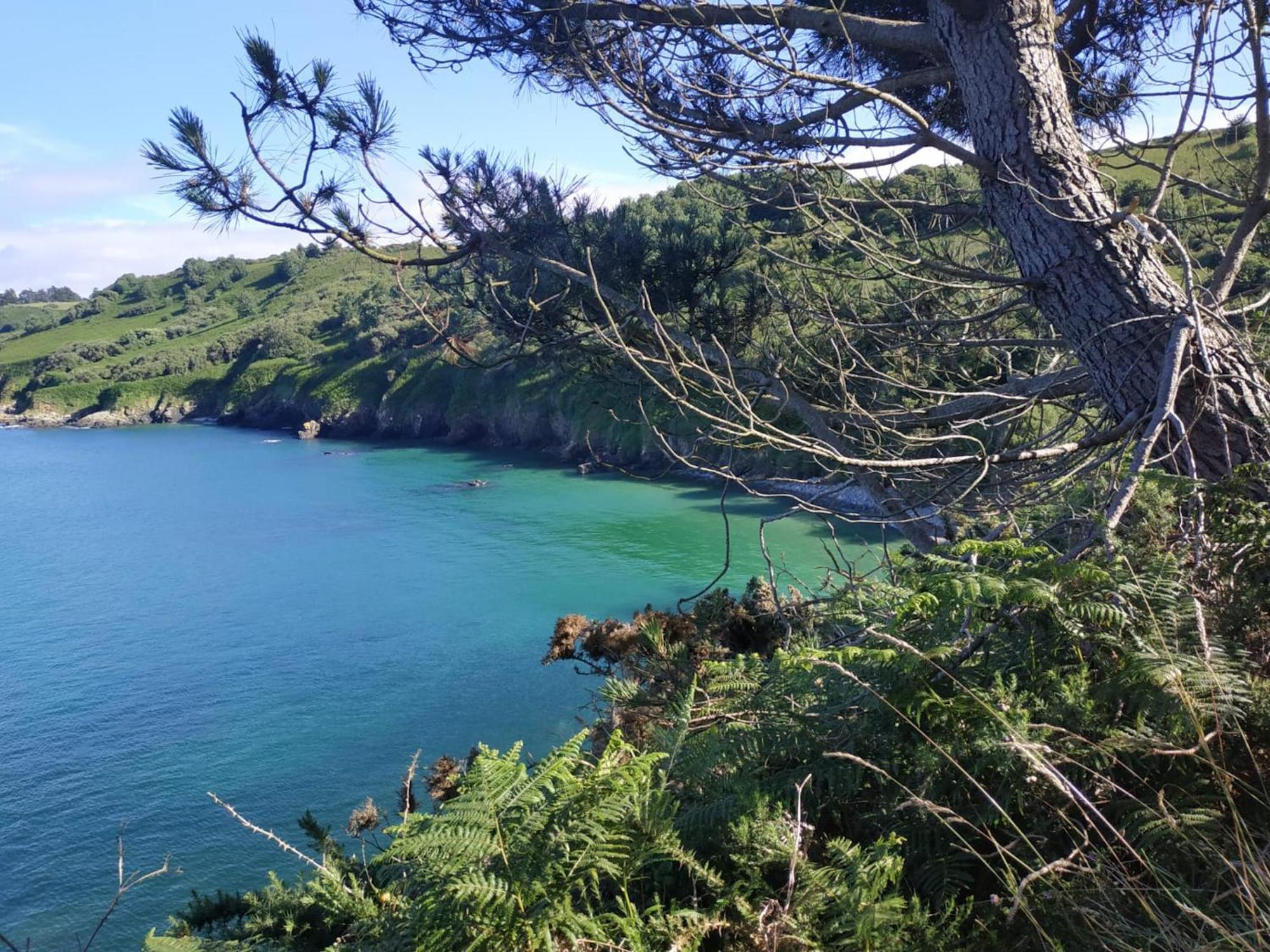 Maison Cosy Vue Mer A Guimaec Екстериор снимка